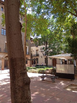 Cuadro oleo, antiguo,plaza Santa Cruz de Zaragoza