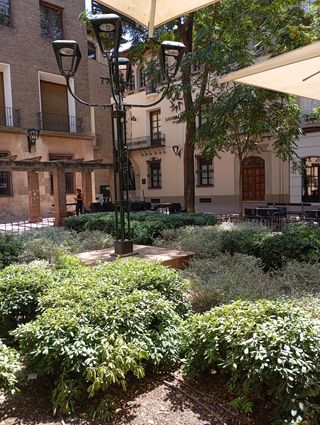 Cuadro oleo, antiguo,plaza Santa Cruz de Zaragoza