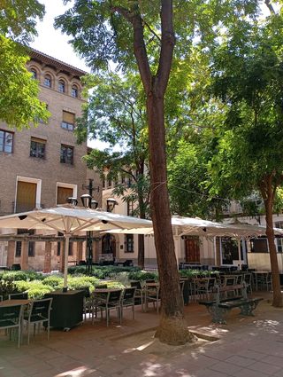 Cuadro oleo, antiguo,plaza Santa Cruz de Zaragoza