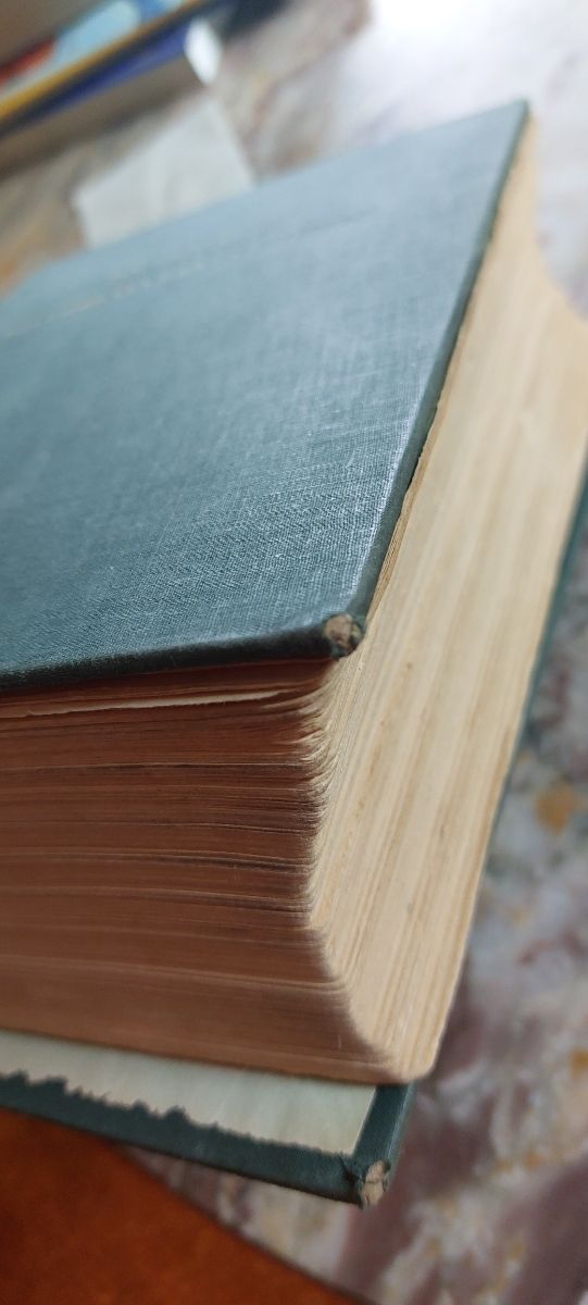 Libro I cipressi credono in Dio