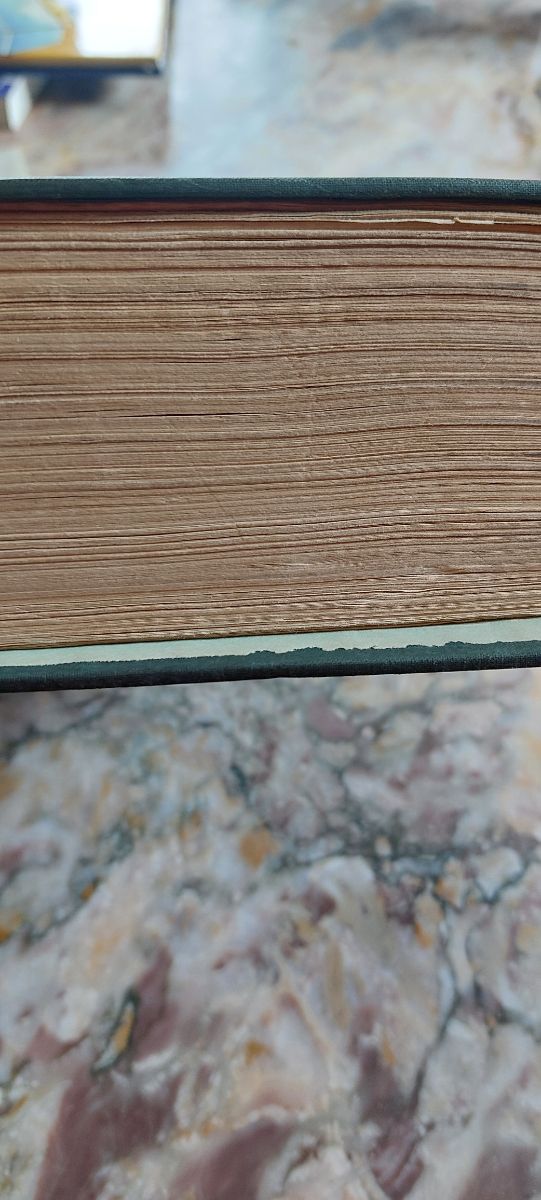 Libro I cipressi credono in Dio