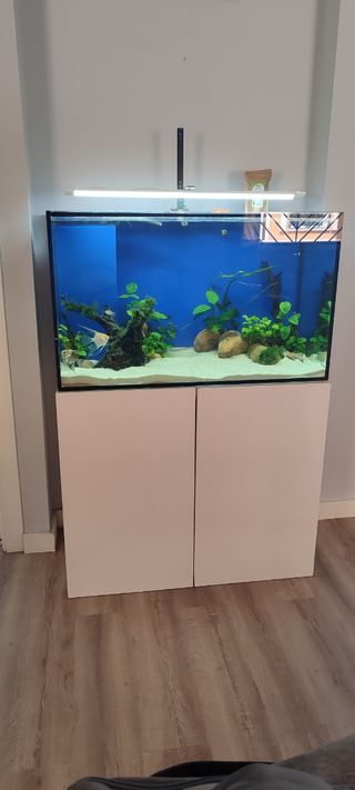 Acuario 300l 