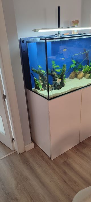 Acuario 300l 