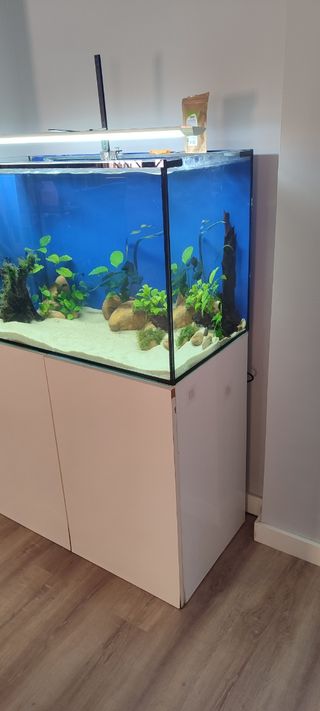 Acuario 300l 