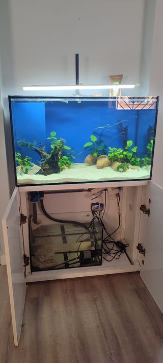 Acuario 300l 