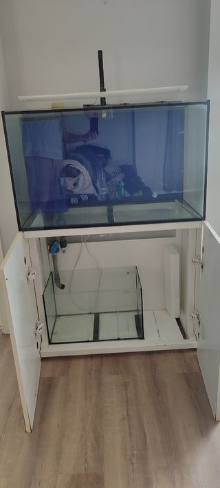 Acuario 300l 