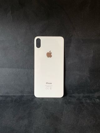 TAPA CRISTAL TRASERO IPHONE X PLATA