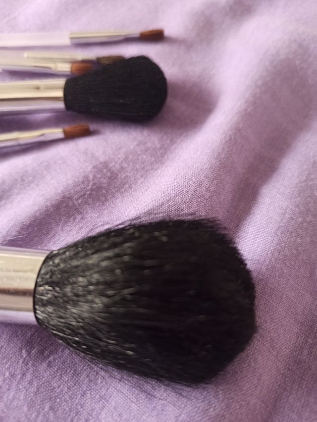 Set di pennelli per il trucco