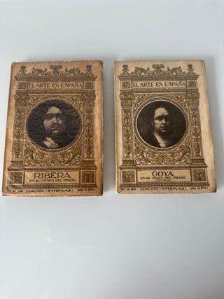 Lote 9 libros El Arte en España