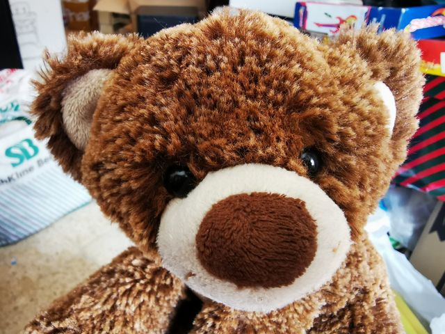 Peluche osito Famosa