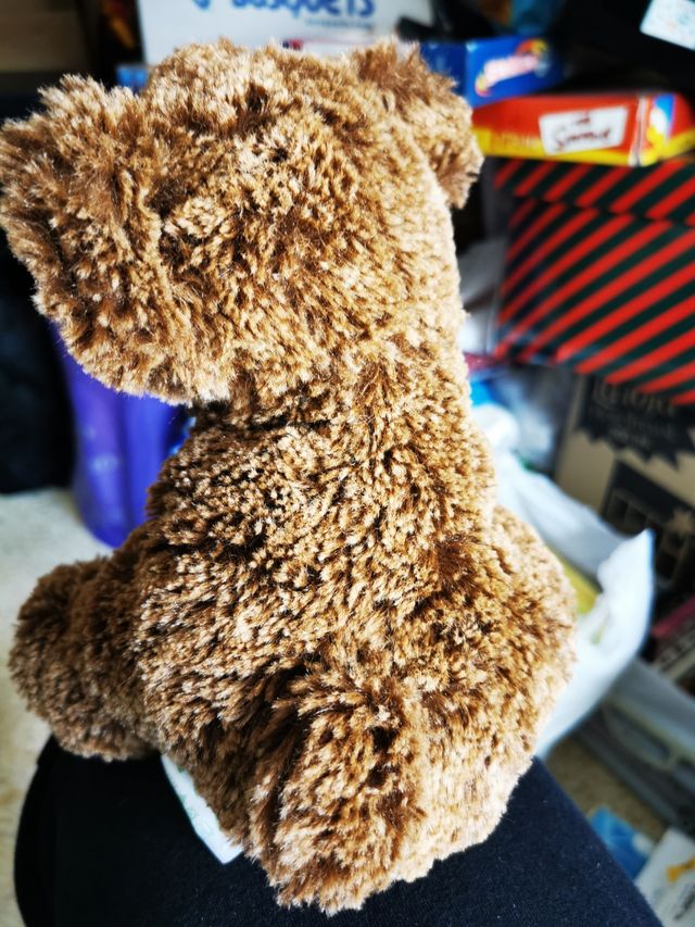 Peluche osito Famosa