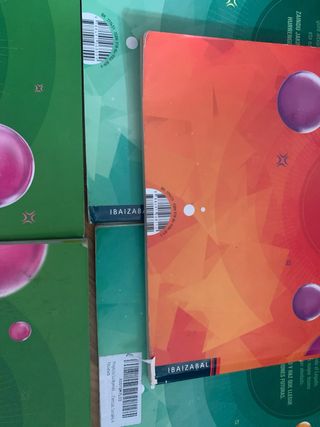 Jakintzaren zaindariak 4