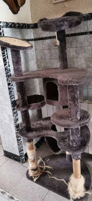 Estructura juegos gatos
