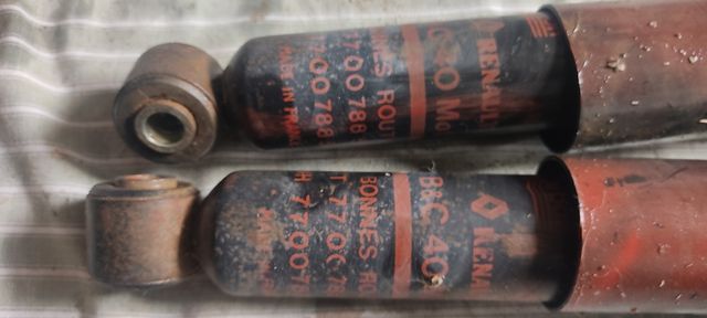 Ammortizzatori posteriori Renault 5