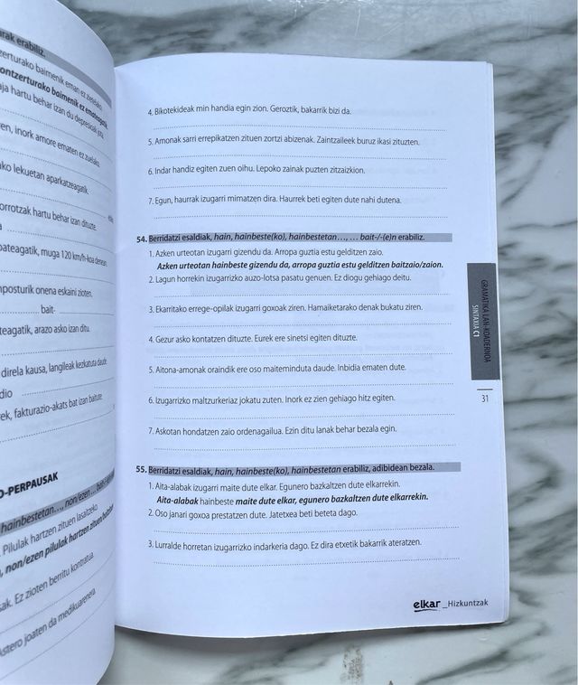 Libro gramatica C1 euskera SINTAXIA