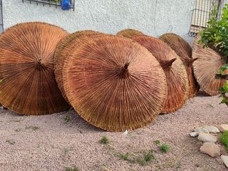 Sombrillas de carri verzo mimbre