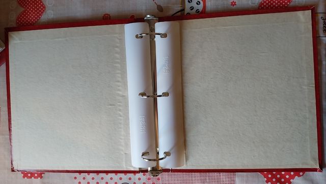 Contenitore ad anelli 