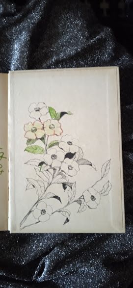 ASTRID LINDGREN BRITT-MARI VALLECCHI