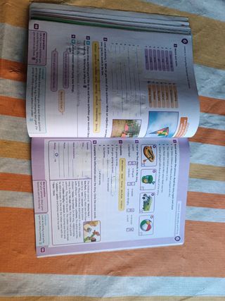QUINTO PRIMARIA