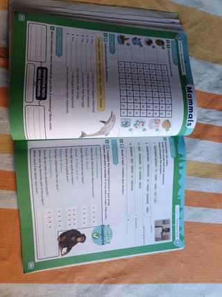 QUINTO PRIMARIA