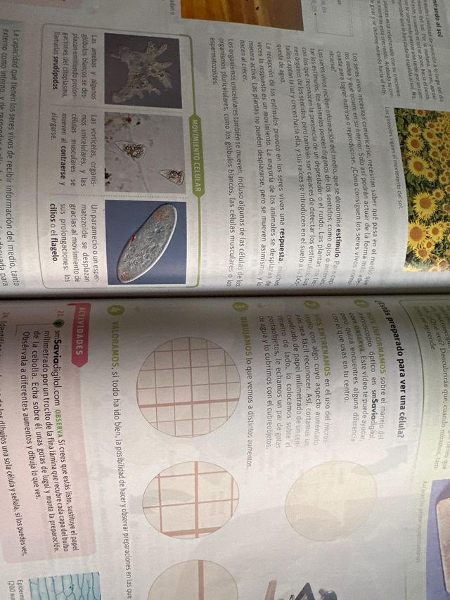 Libro de Biología y Geología 1 Eso - SM