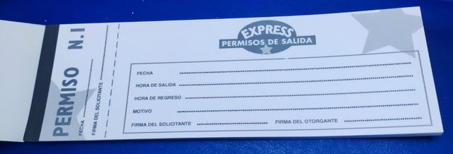 Lote de artículos de despedida de soltera 