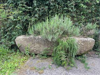 Pia de piedra siglo XIX