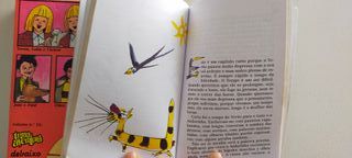 Uma Aventura na terra e no mar/ O Gato Malhado