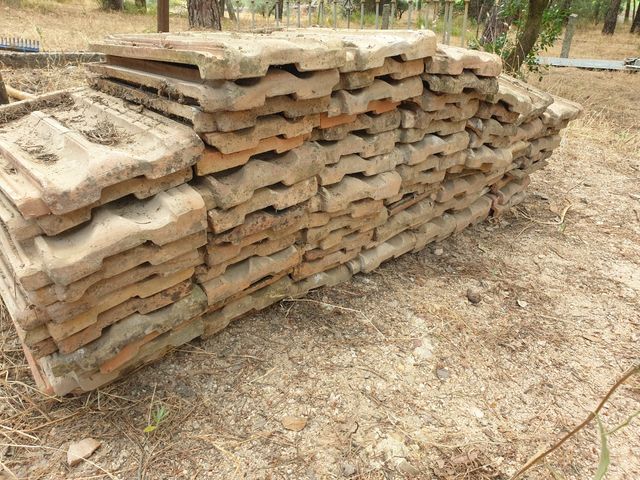 Teja plana Alicantina