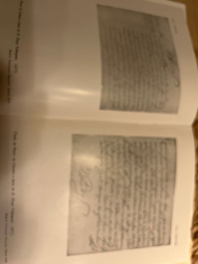 Libro muy antiguo:Velázquez y lo Velazqueño.