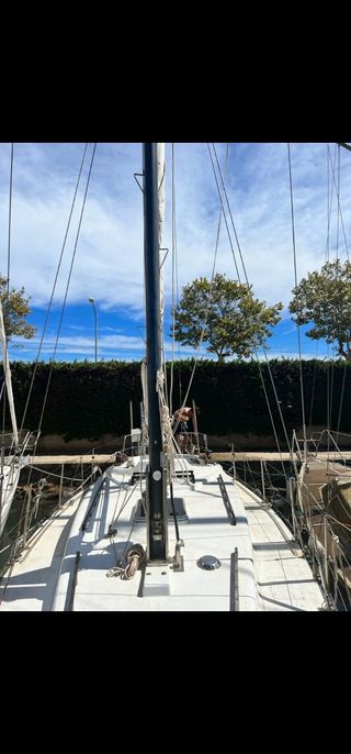 Velero orion 35 pies