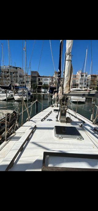 Velero orion 35 pies