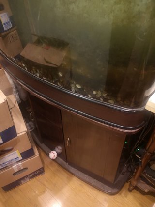 Acuario 350L