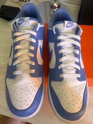 Nike Dunk Low Retro Polar