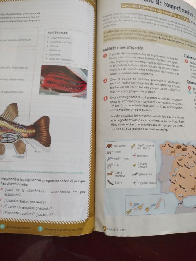 Libro biología y geología de 1 ESO