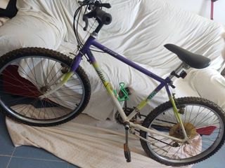 Bicicleta junior 