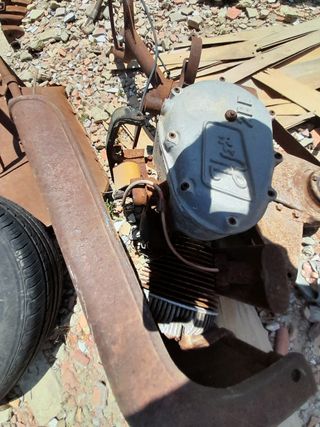 Vendo  hasperos estado bien.