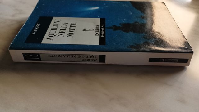 M. E. Kerr - Aquiloni nella notte