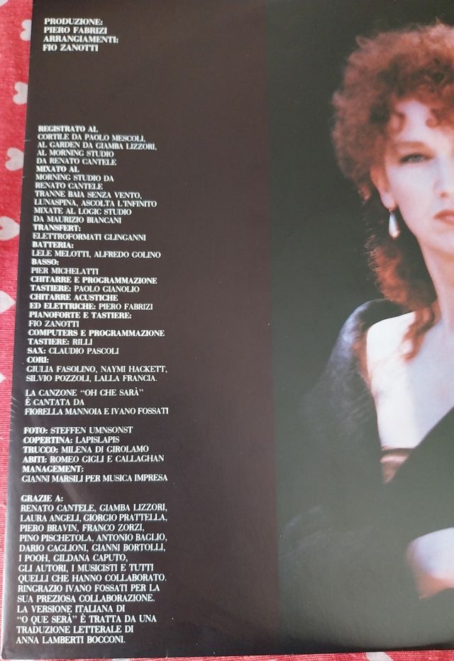 Vinile  Terra di vento 