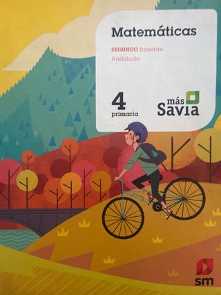Matematicas 4 primaria