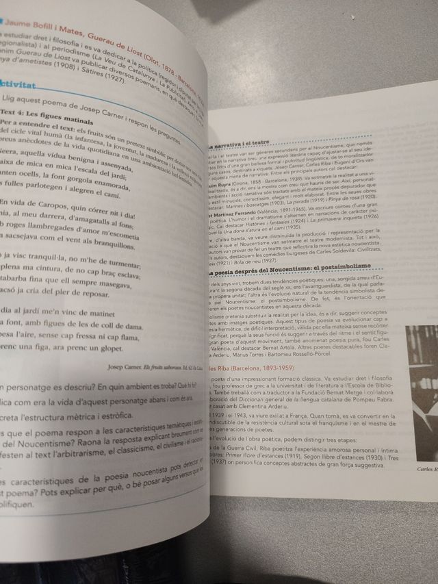 Valencia llengua i lliteratura