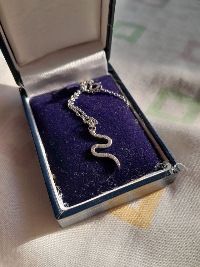 Colgante con cadena plata