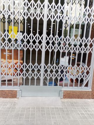 Rejas  Motores  Puertas