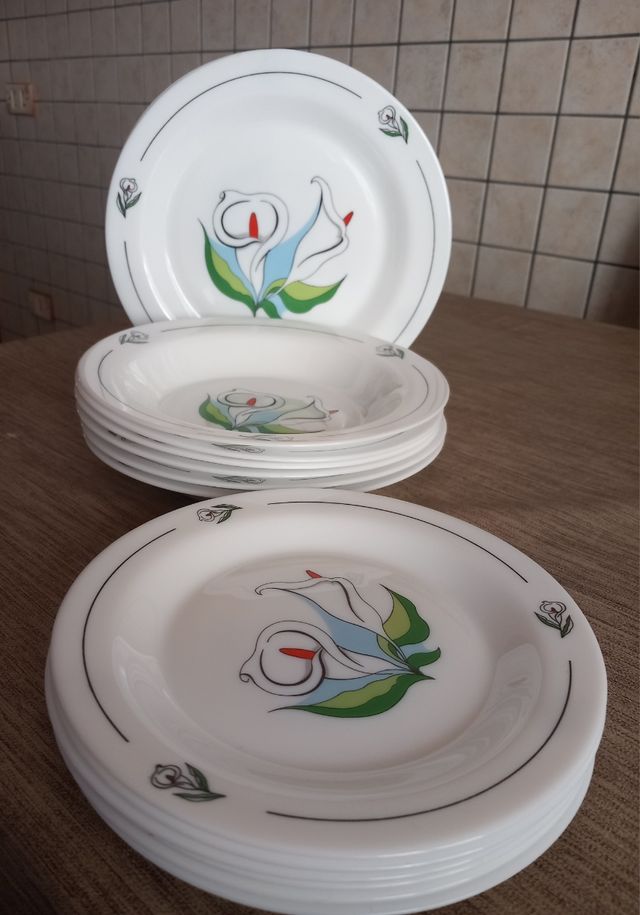 Servizio piatti arcopal