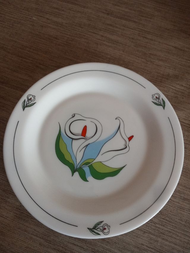 Servizio piatti arcopal