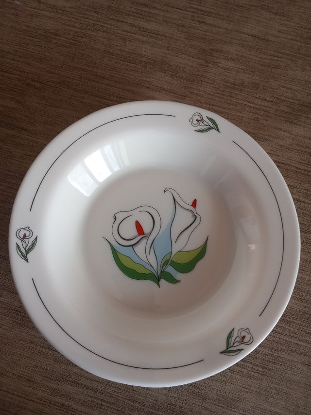 Servizio piatti arcopal