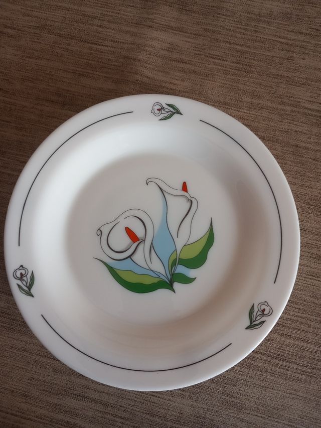 Servizio piatti arcopal