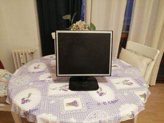 Monitor pantalla ordenador LG flatron L1718S 