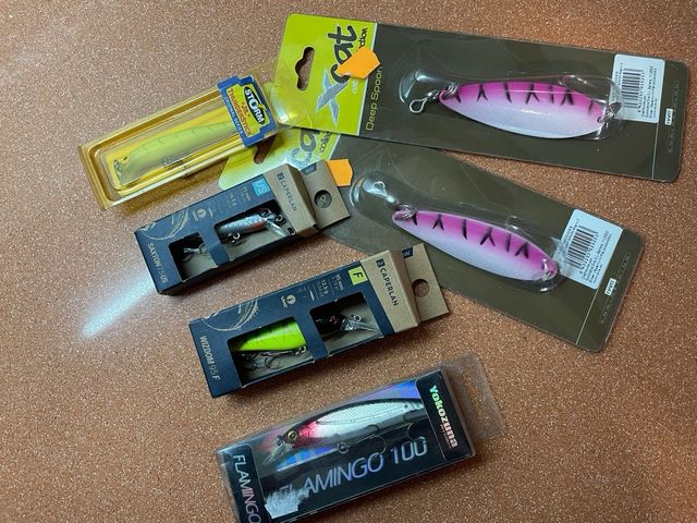 Set da pesca Spinning: esche StorM, Hart, Caperlan