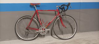 Bicicleta carretera Reynolds años 80 Pinarello